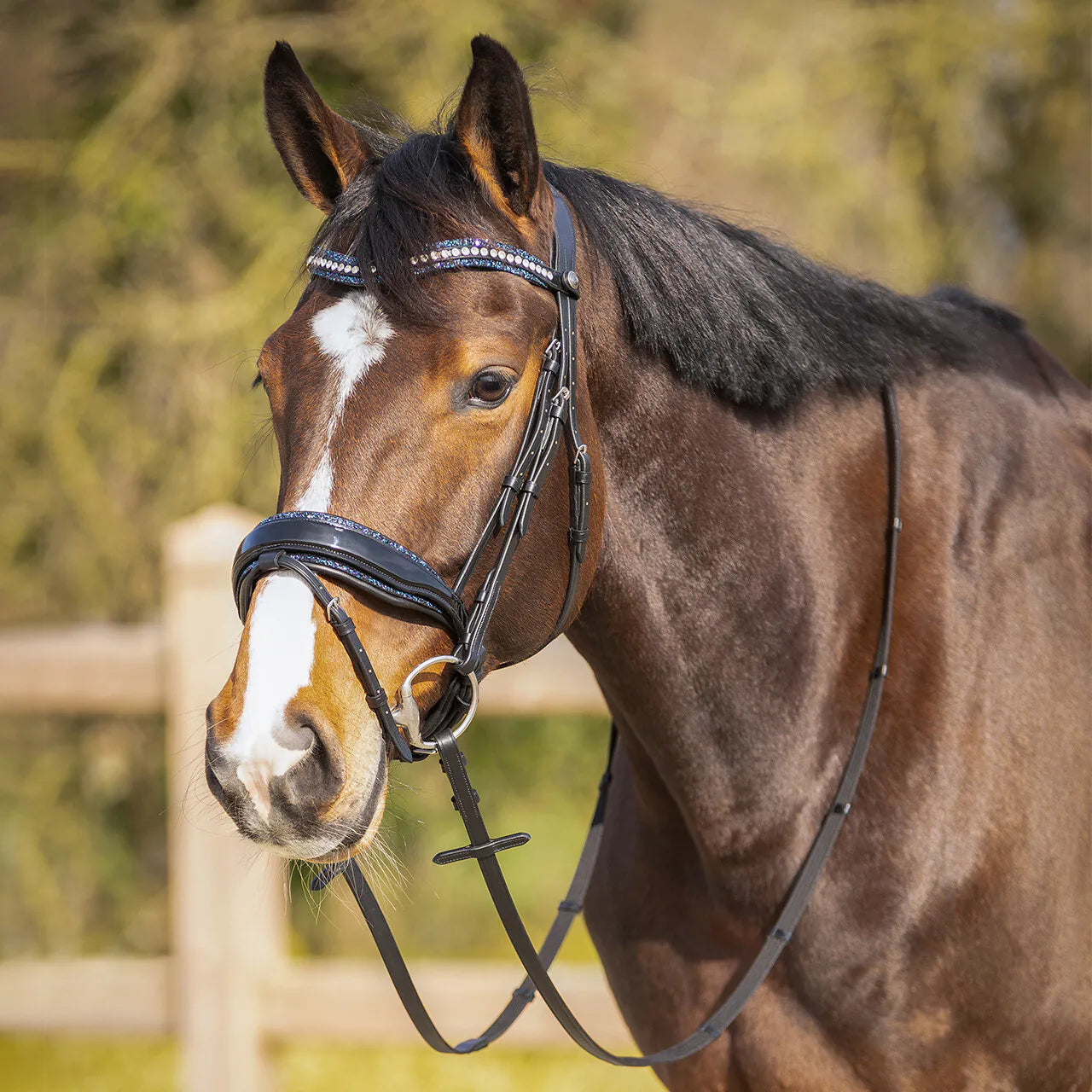 Cabezadas Exchangeable acolchado Skye QHP para equitación - vista 8