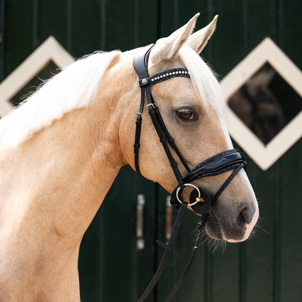 Cabezadas Exchangeable acolchado Skye QHP para equitación - vista 25