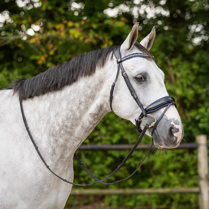 Cabezadas Exchangeable acolchado Skye QHP para equitación - vista 12