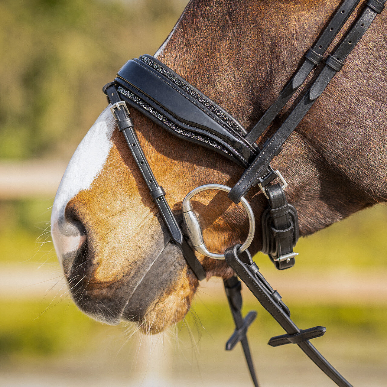 Cabezadas Exchangeable acolchado Skye QHP para equitación - vista 39