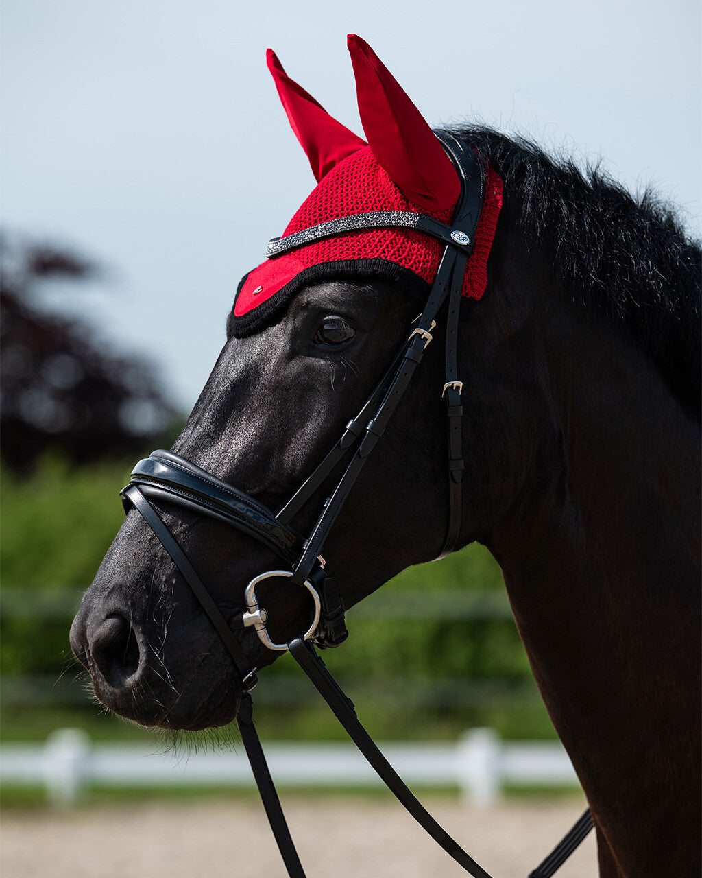 Cabezada inglesa Cabezada inglesa Lagos incl. reins QHP para equitación - vista 4