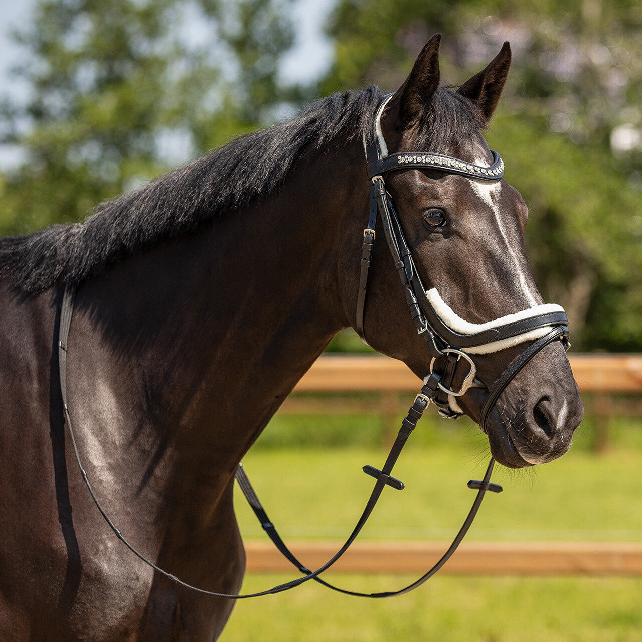Cabezada inglesa Cabezada inglesa Sensisoft fur patches QHP para equitación - vista 32