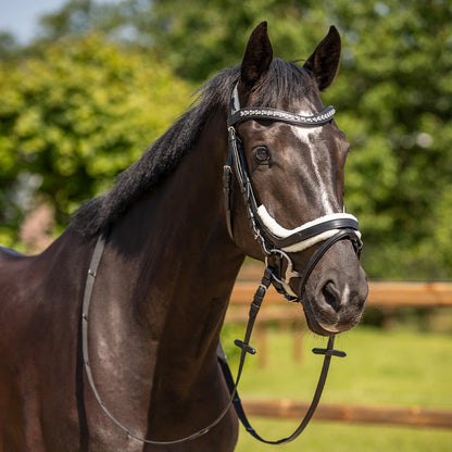 Cabezada inglesa Cabezada inglesa Sensisoft fur patches QHP para equitación - vista 24