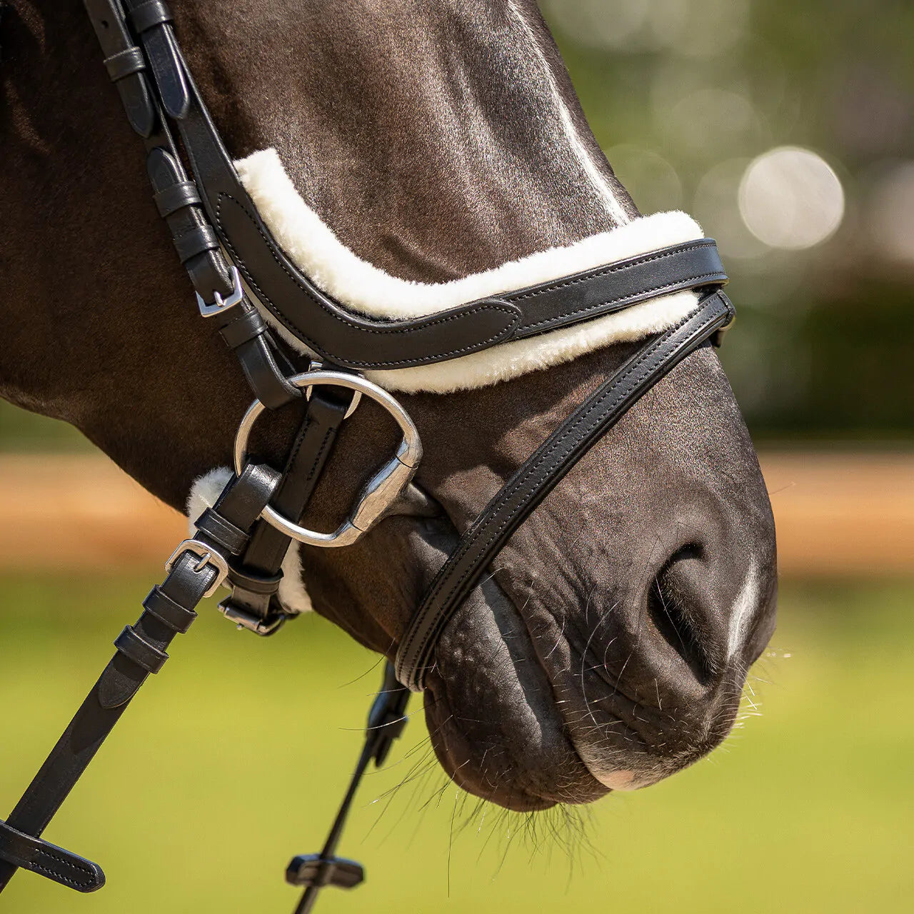 Cabezada inglesa Cabezada inglesa Sensisoft fur patches QHP para equitación - vista 14