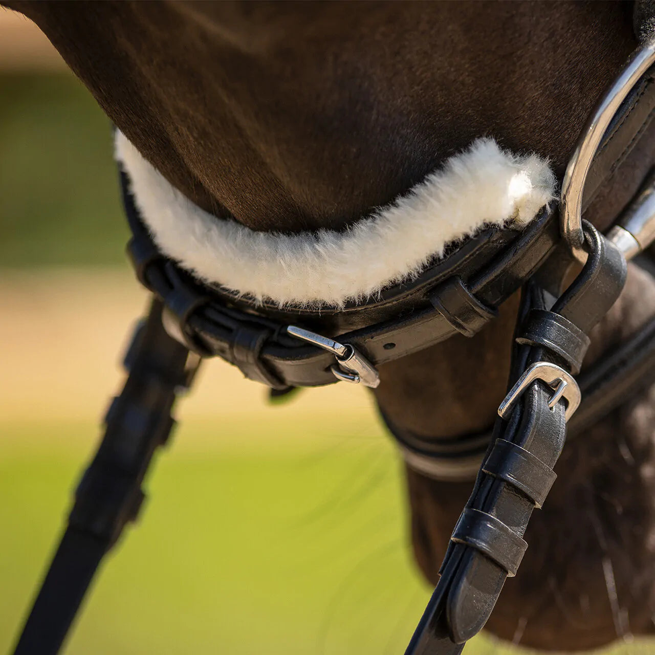 Cabezada inglesa Cabezada inglesa Sensisoft fur patches QHP para equitación - vista 16