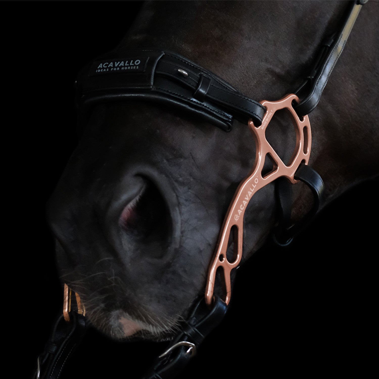 Nasalina piel hackamore Acavallo - Negro