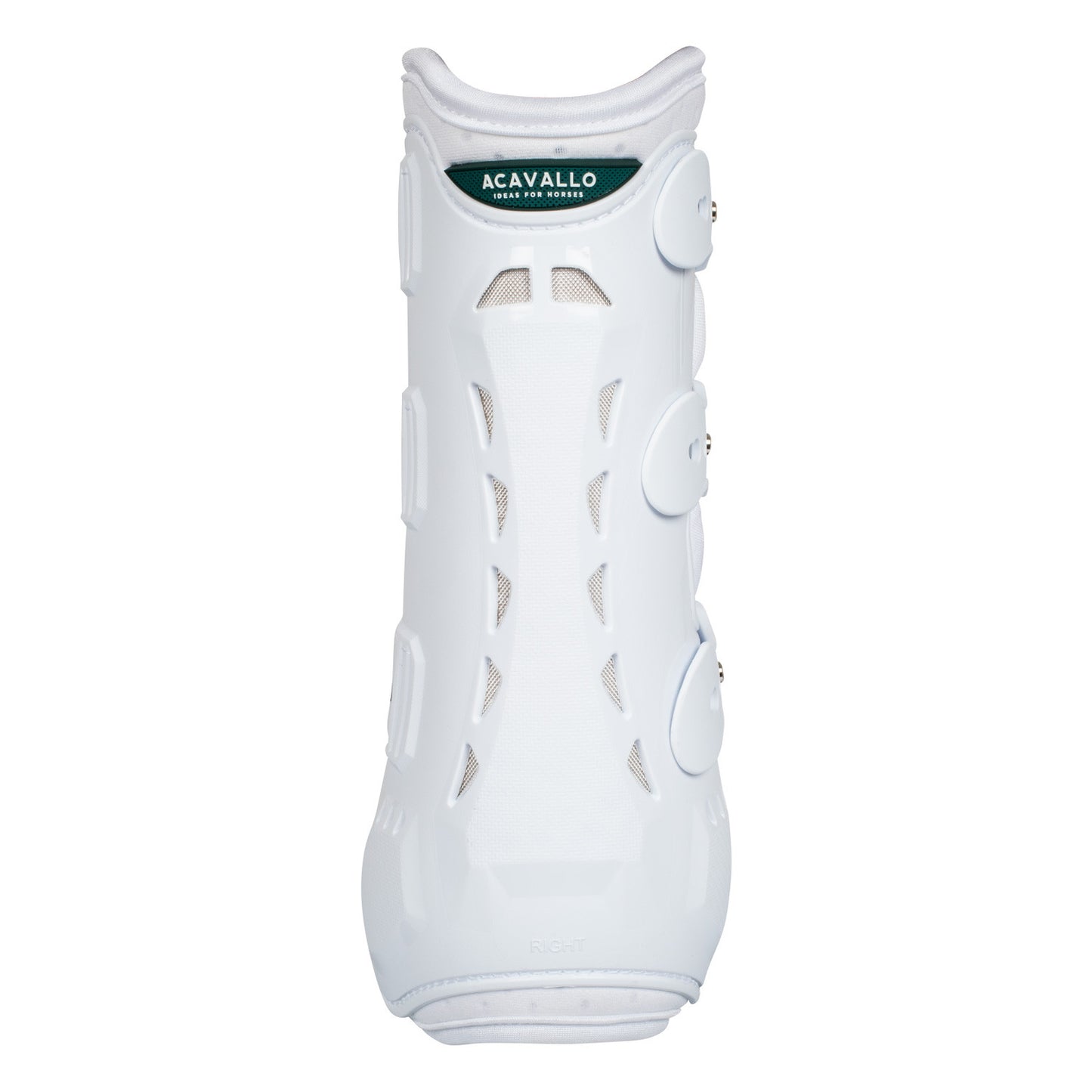 Protectores posteriores anatómicos de doma Acavallo - Blanco