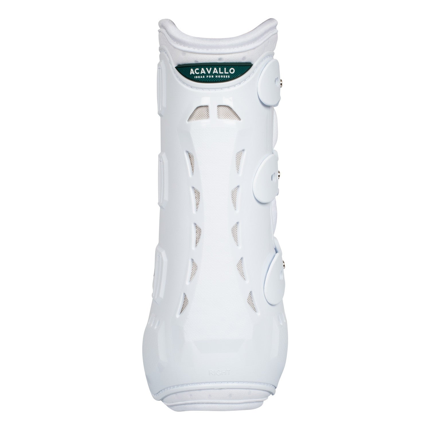 Protectores posteriores anatómicos de doma Acavallo - Blanco