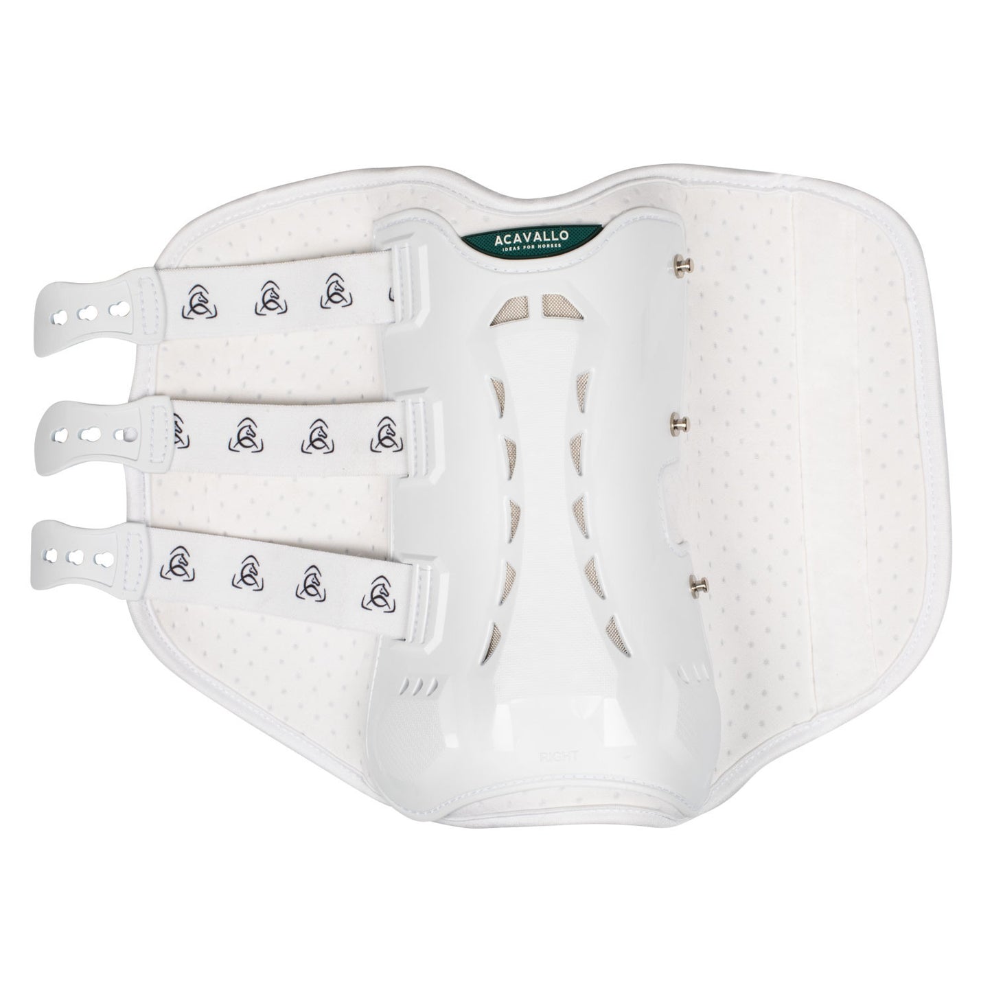 Protectores posteriores anatómicos de doma Acavallo - Blanco