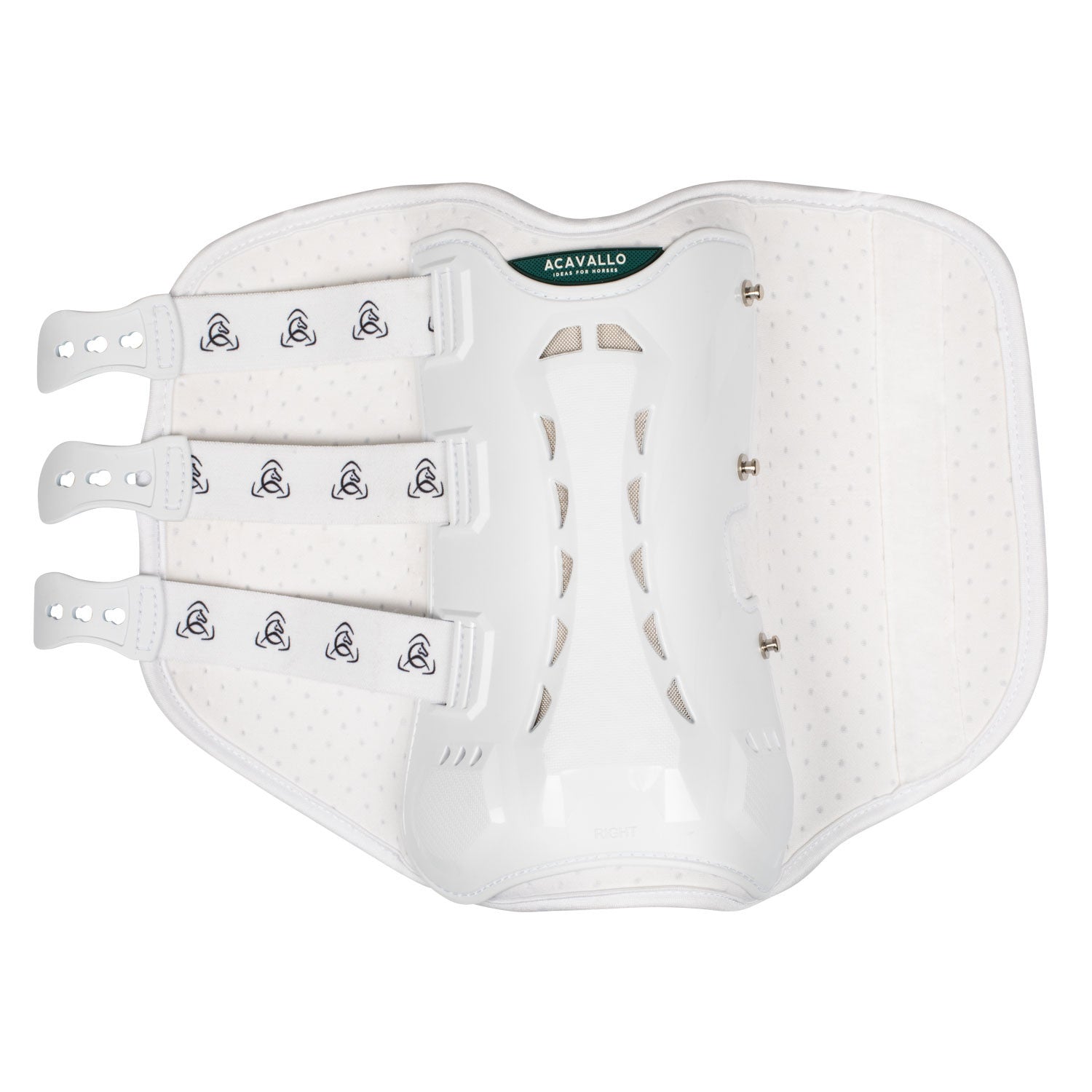 Protectores posteriores anatómicos de doma Acavallo - Blanco
