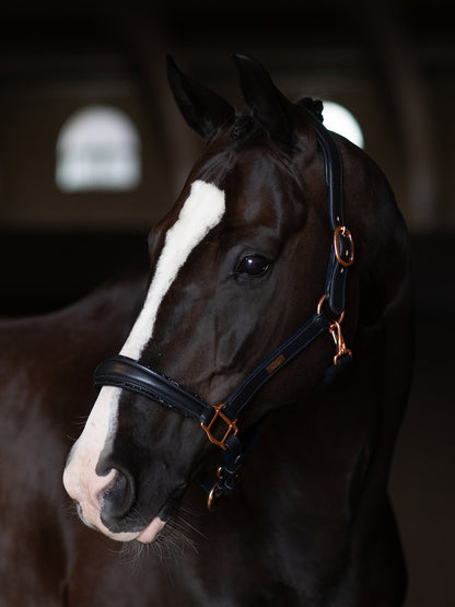 Anatomic Glimmer Leather Halter Equestrian Stockholm Glimmer Anatomic Leather detalle 2