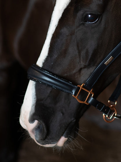 Anatomic Glimmer Leather Halter Equestrian Stockholm Glimmer Anatomic Leather detalle 3