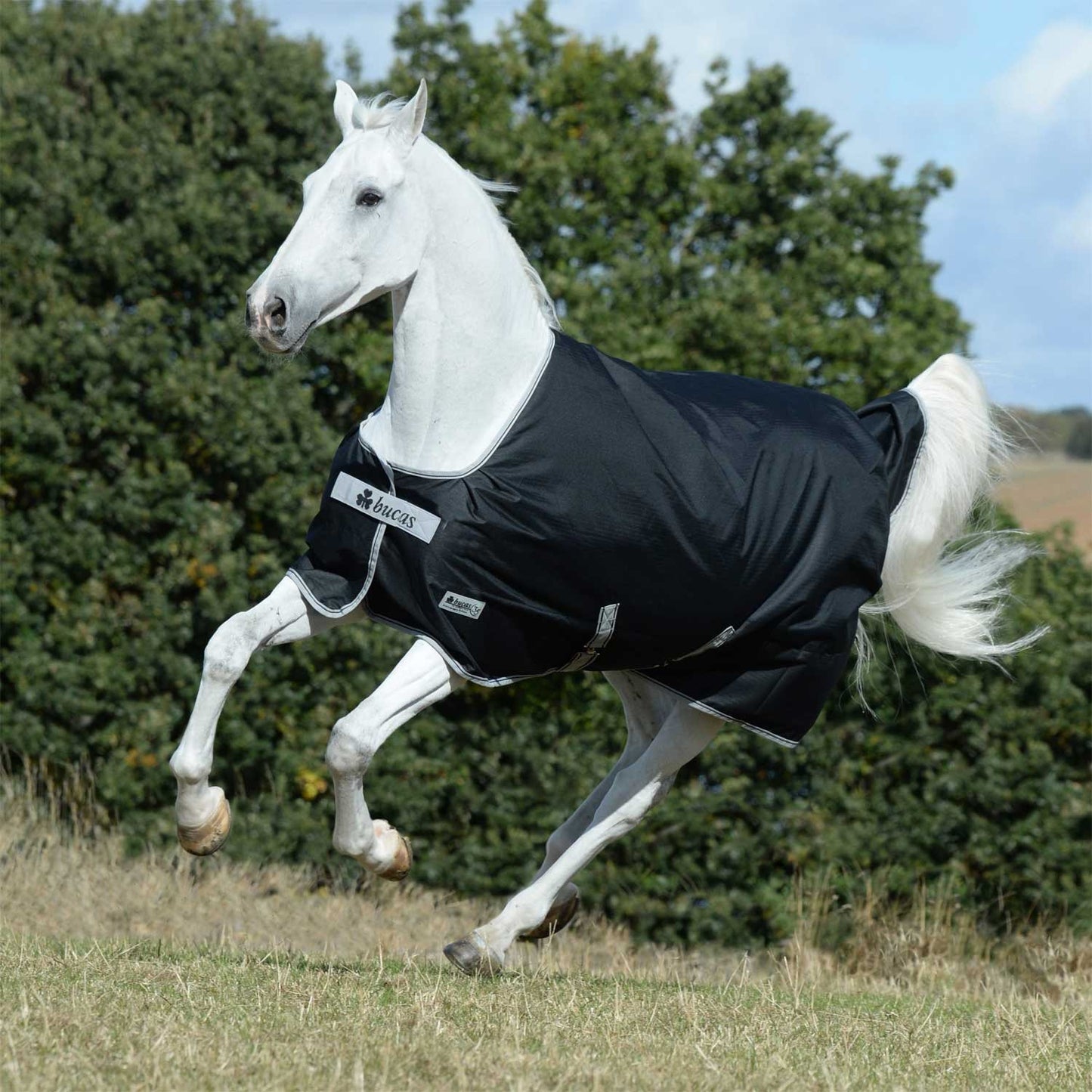 Manta anniversary turnout 200 sf silk feel Bucas