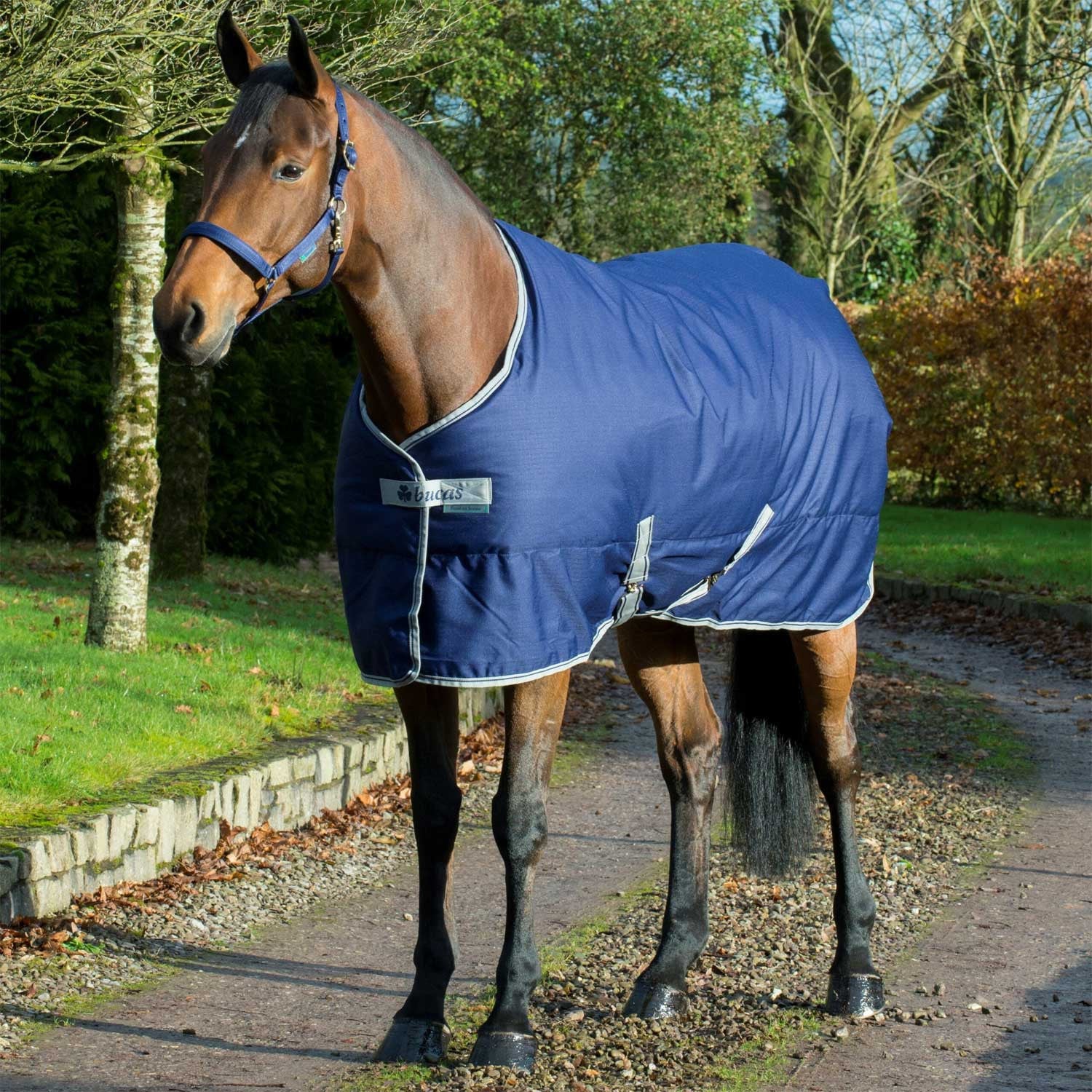 Manta freedom stable 300 Bucas