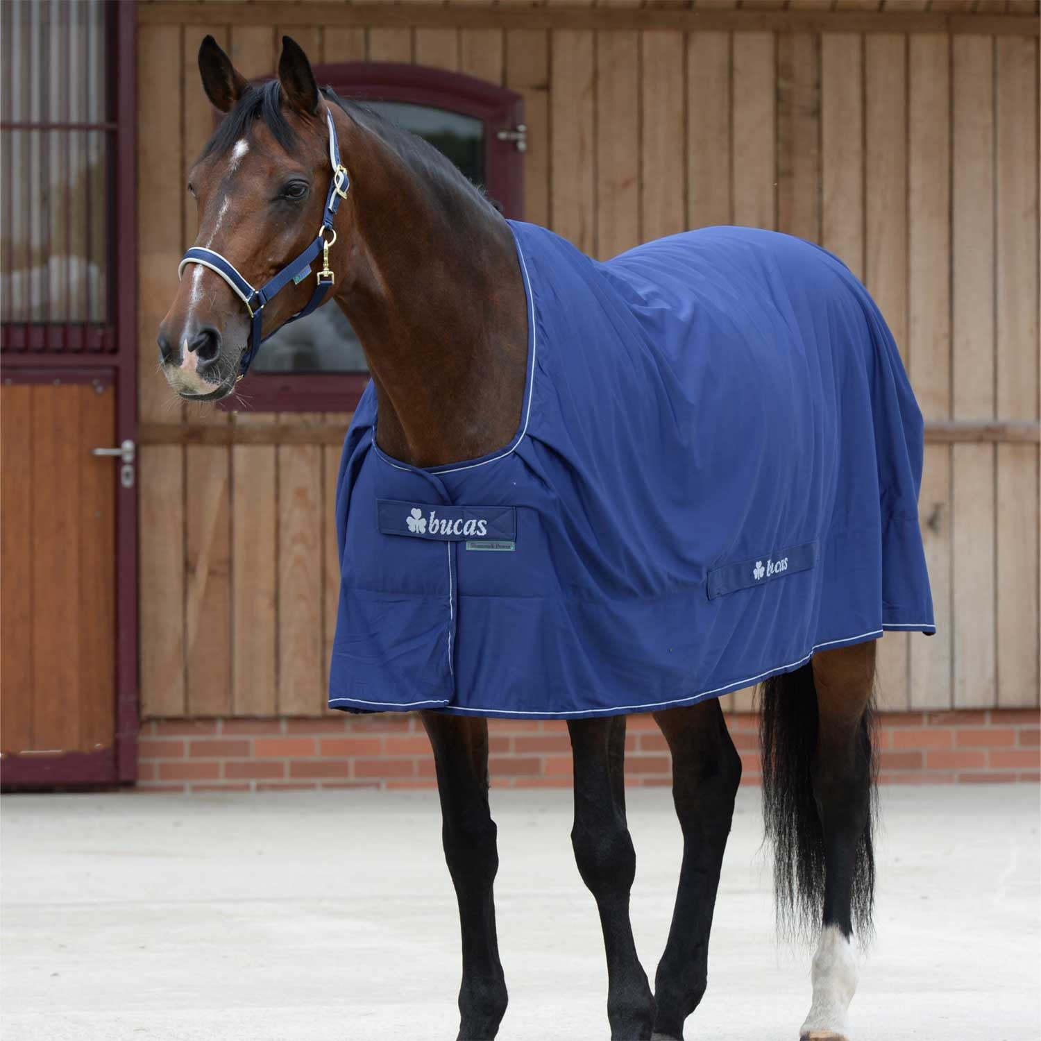 Manta Bucas de show shamrock power stay dry fabric azul marino