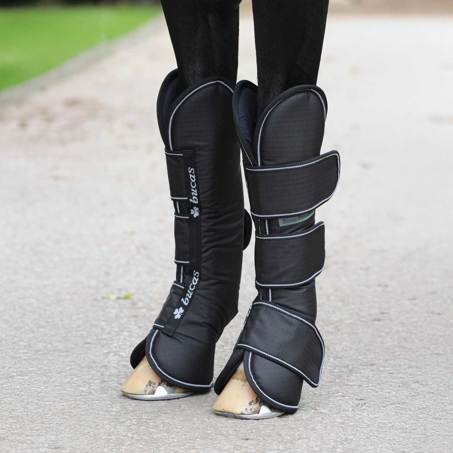 Botas de transporte Bucas paracolpi - Negro