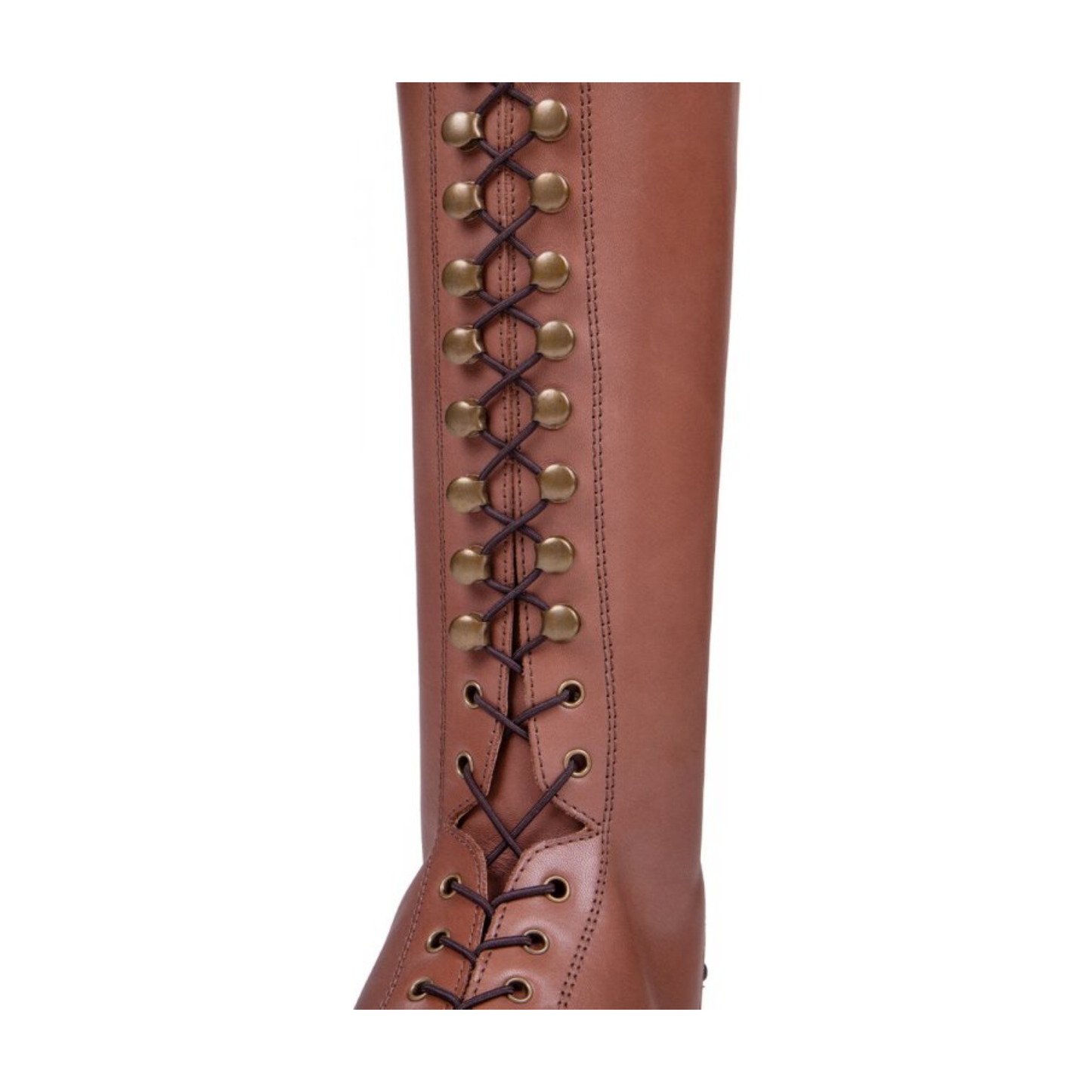 Botas De Montar Hailey Adulto QHP - Rincón del Valle