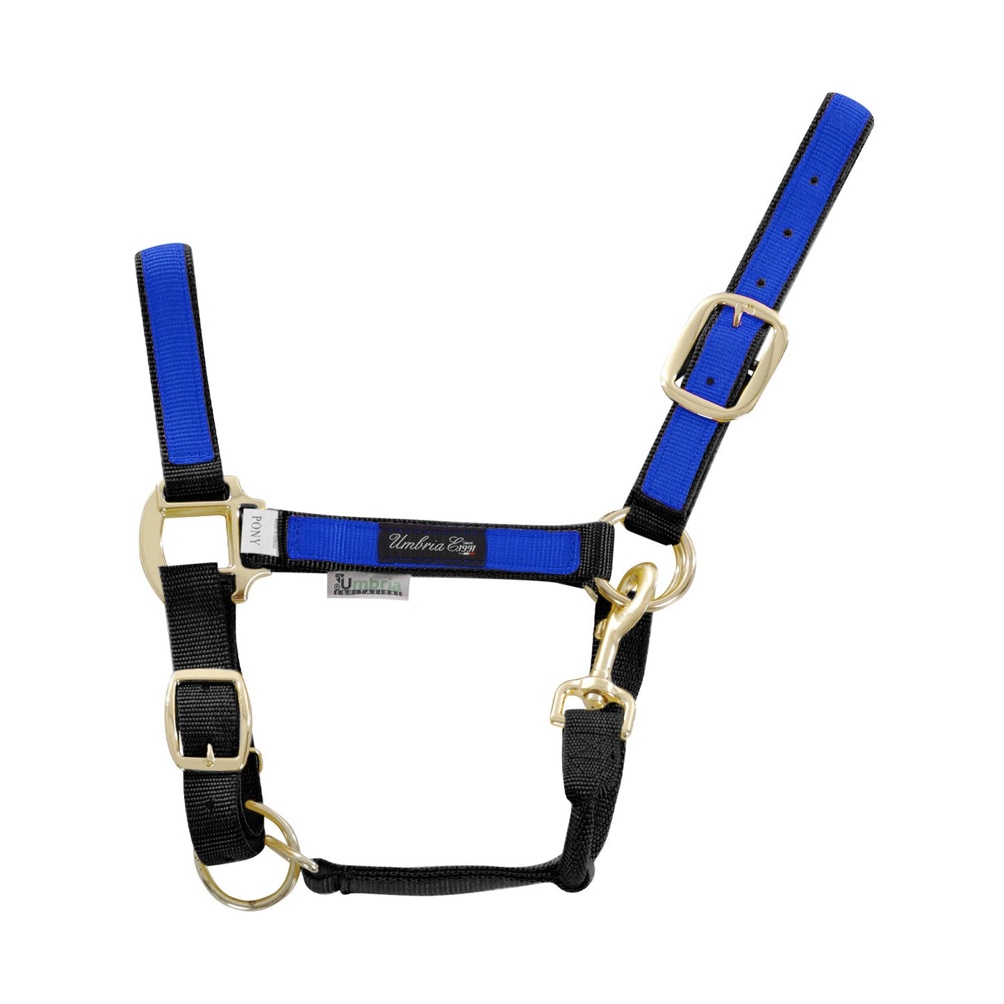 Cabezada de nylon con detalle de color Umbria Equitazione - Black/Royal