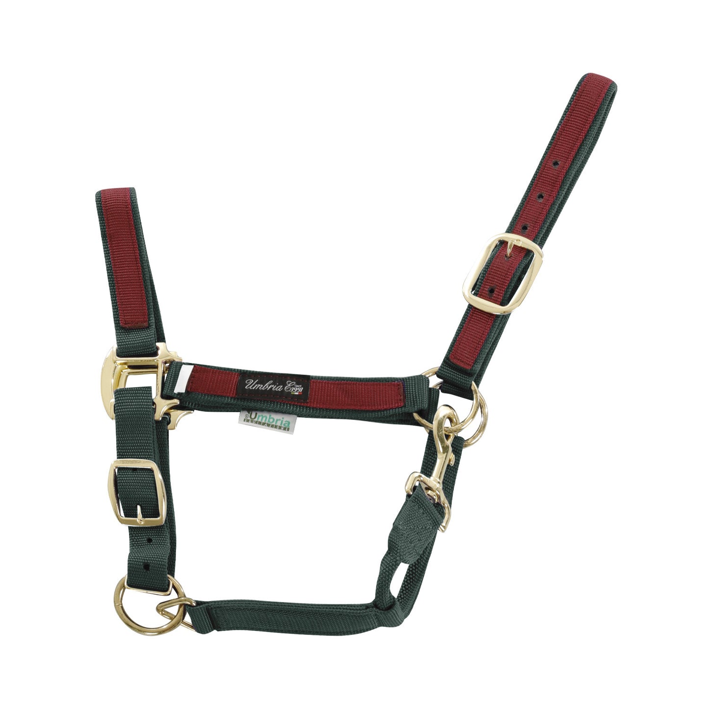 Cabezada de nylon con detalle de color Umbria Equitazione - Green/Burgundy