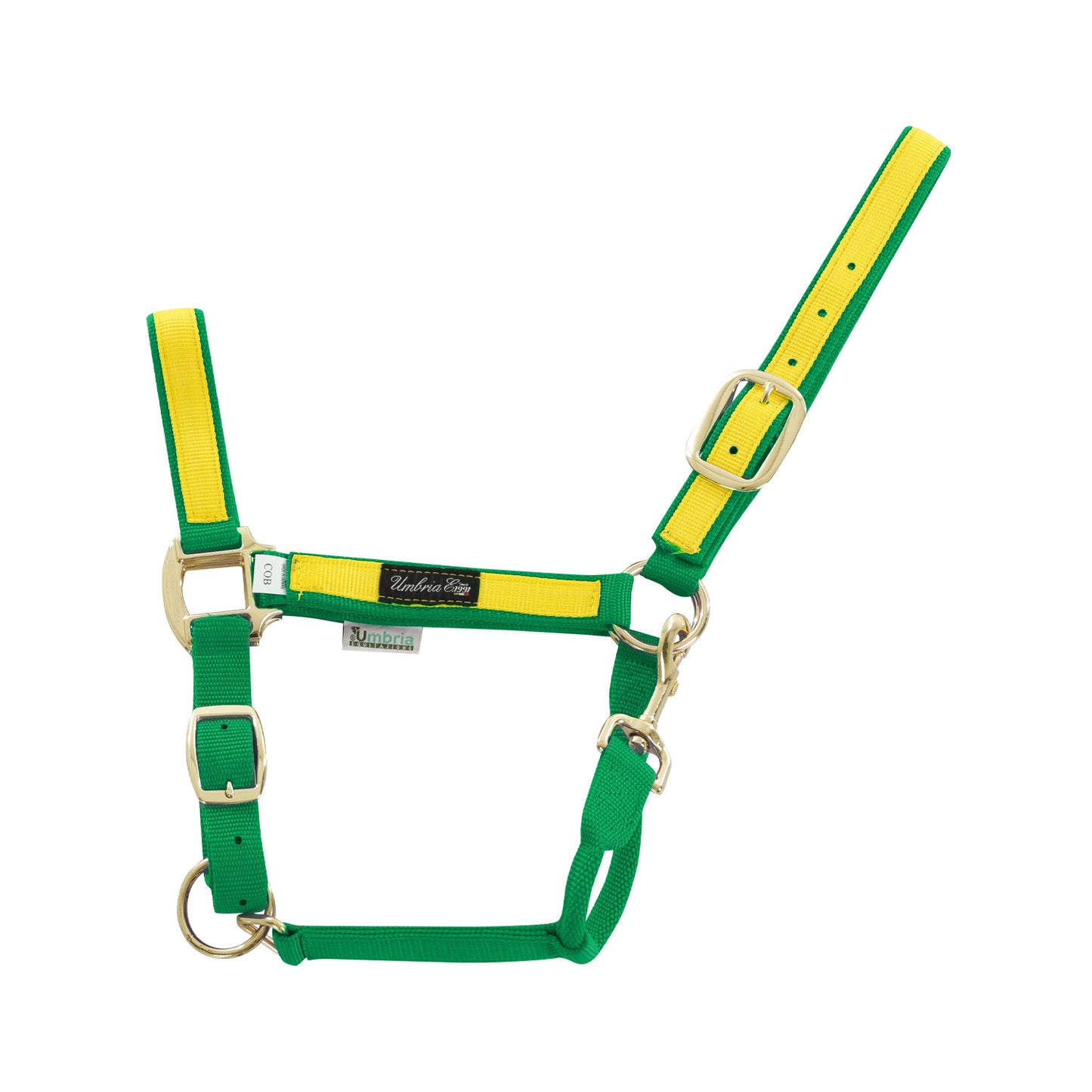 Cabezada de nylon con detalle de color Umbria Equitazione - Green/Yellow