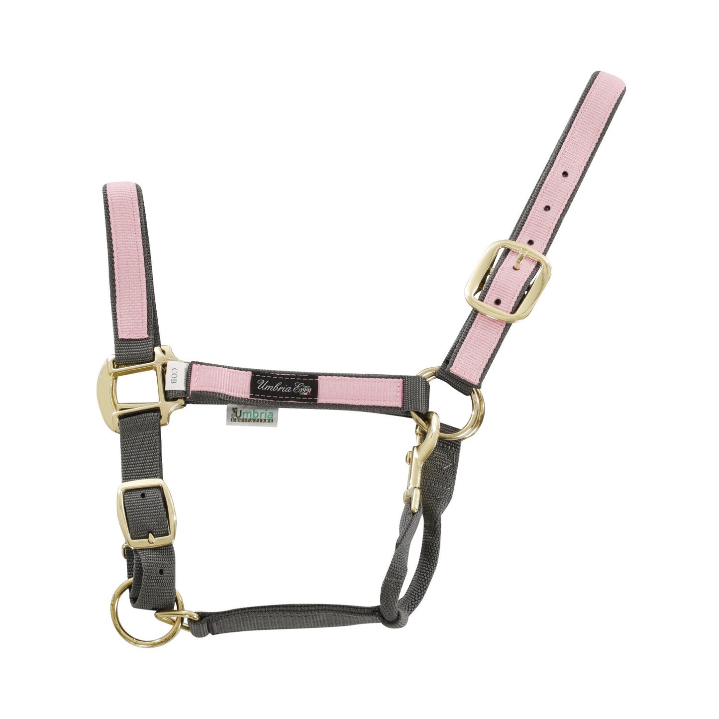 Cabezada de nylon con detalle de color Umbria Equitazione - Grey/Pink