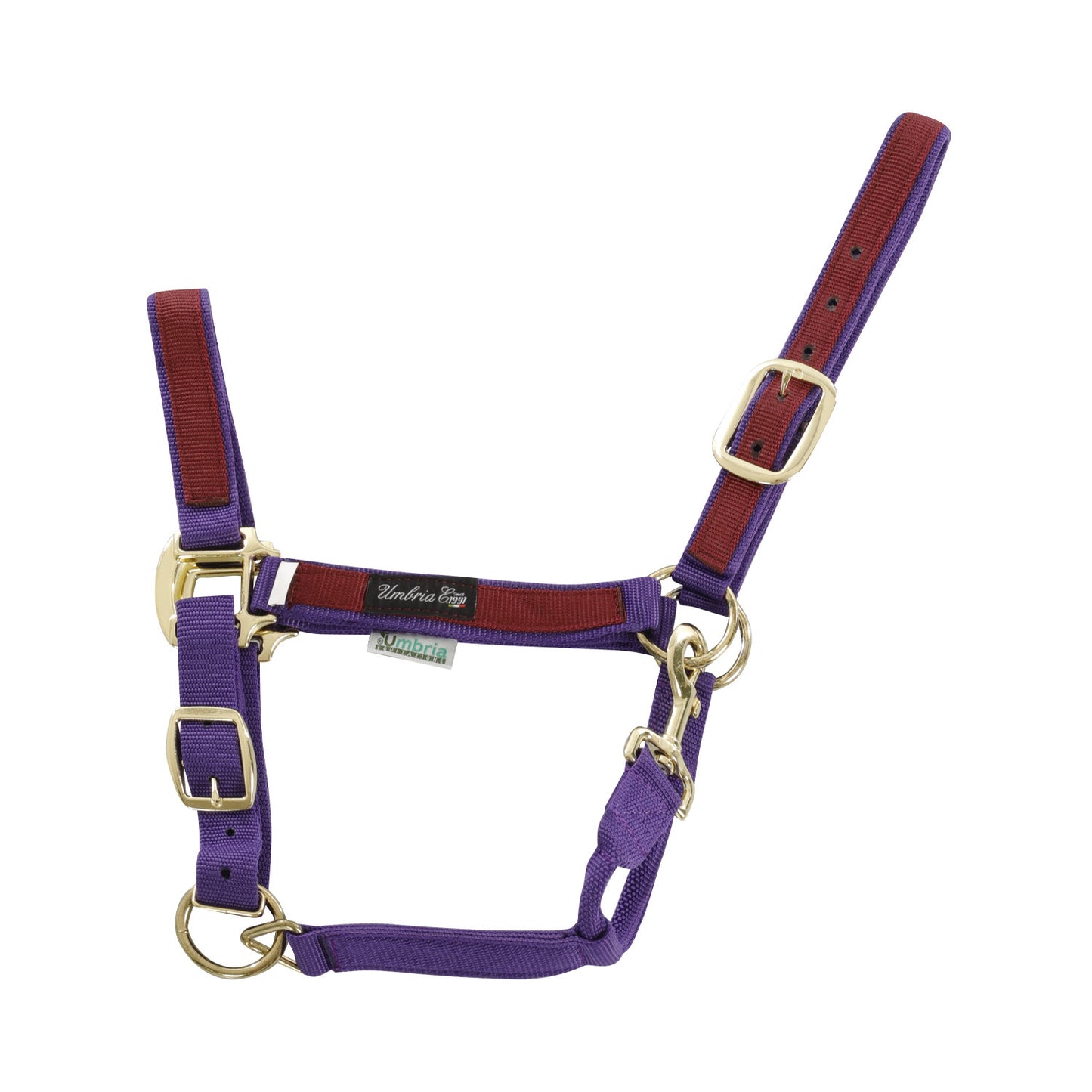 Cabezada de nylon con detalle de color Umbria Equitazione - Purple/Burgundy