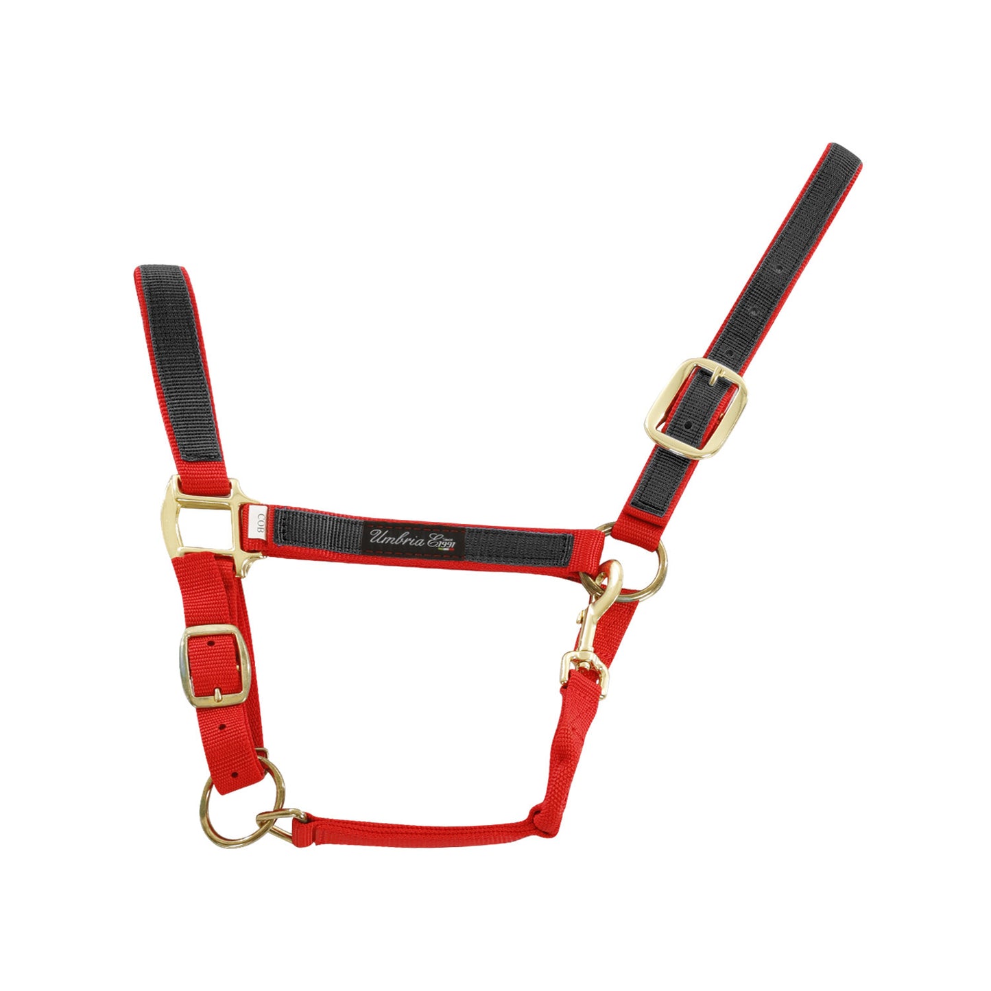 Cabezada de nylon con detalle de color Umbria Equitazione - Red/Black