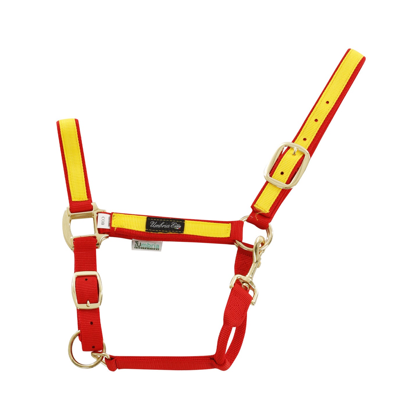 Cabezada de nylon con detalle de color Umbria Equitazione - Red/Yellow