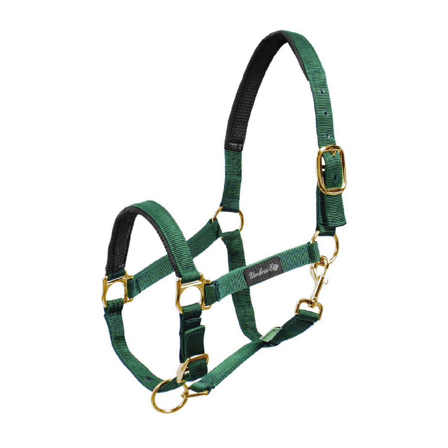 Cabezada de nylon con refuerzo de neopreno Umbria Equitazione - Verde