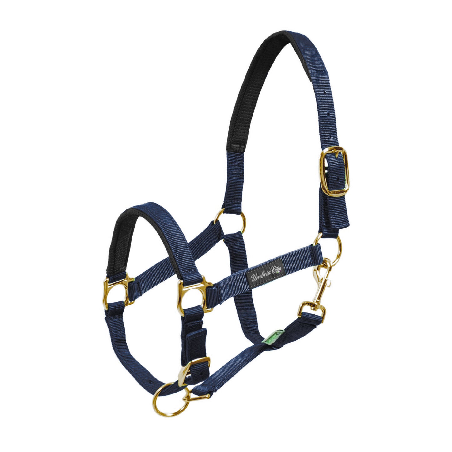 Cabezada de nylon con refuerzo de neopreno Umbria Equitazione - Azul marino