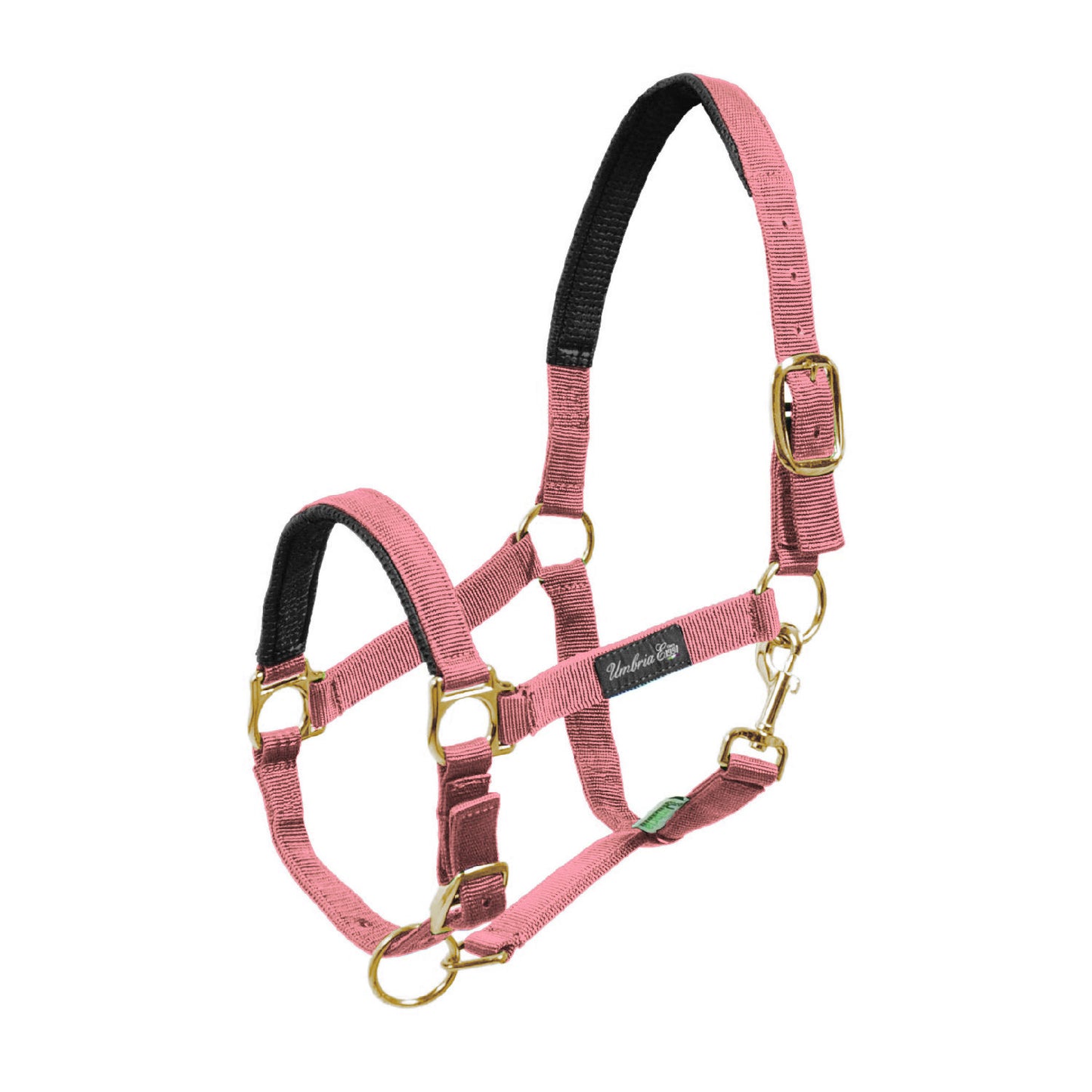 Cabezada de nylon con refuerzo de neopreno Umbria Equitazione - Rosa