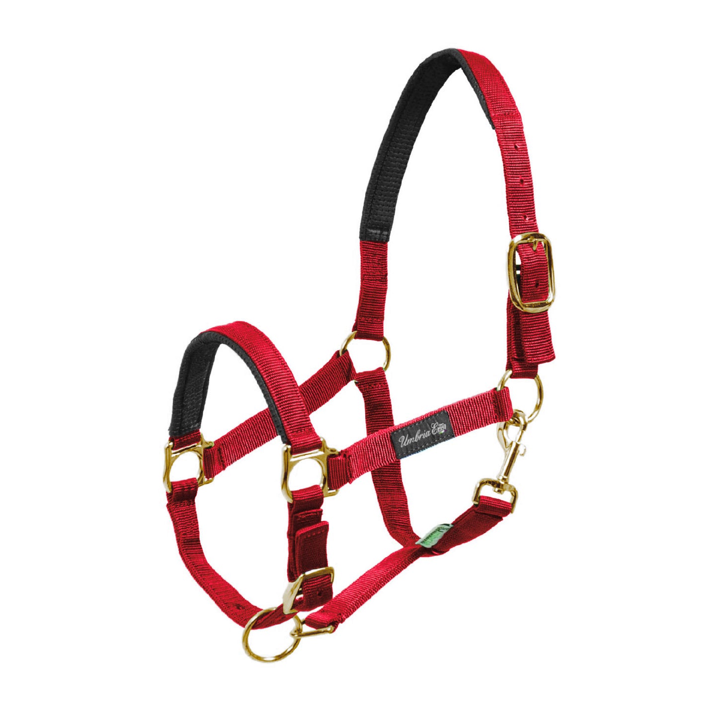 Cabezada de nylon con refuerzo de neopreno Umbria Equitazione - Rojo