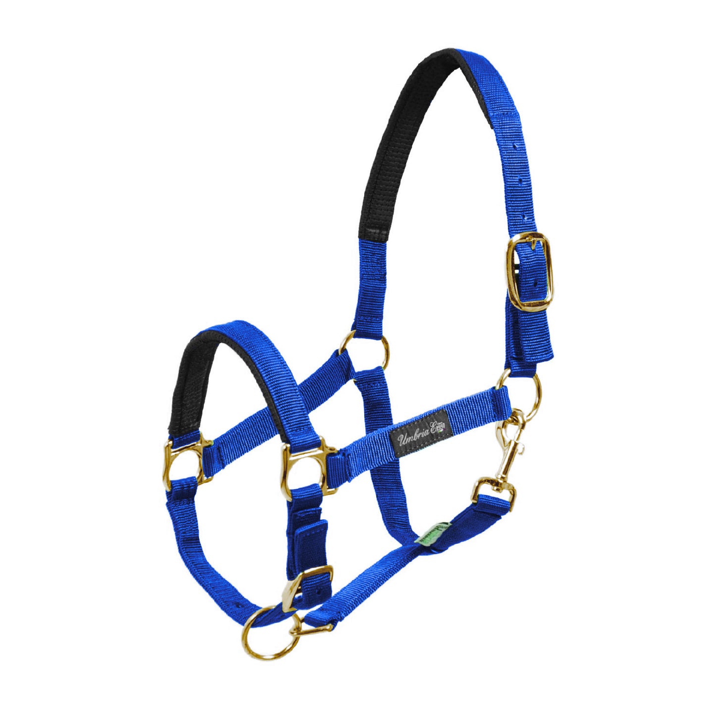 Cabezada de nylon con refuerzo de neopreno Umbria Equitazione - Azul royal