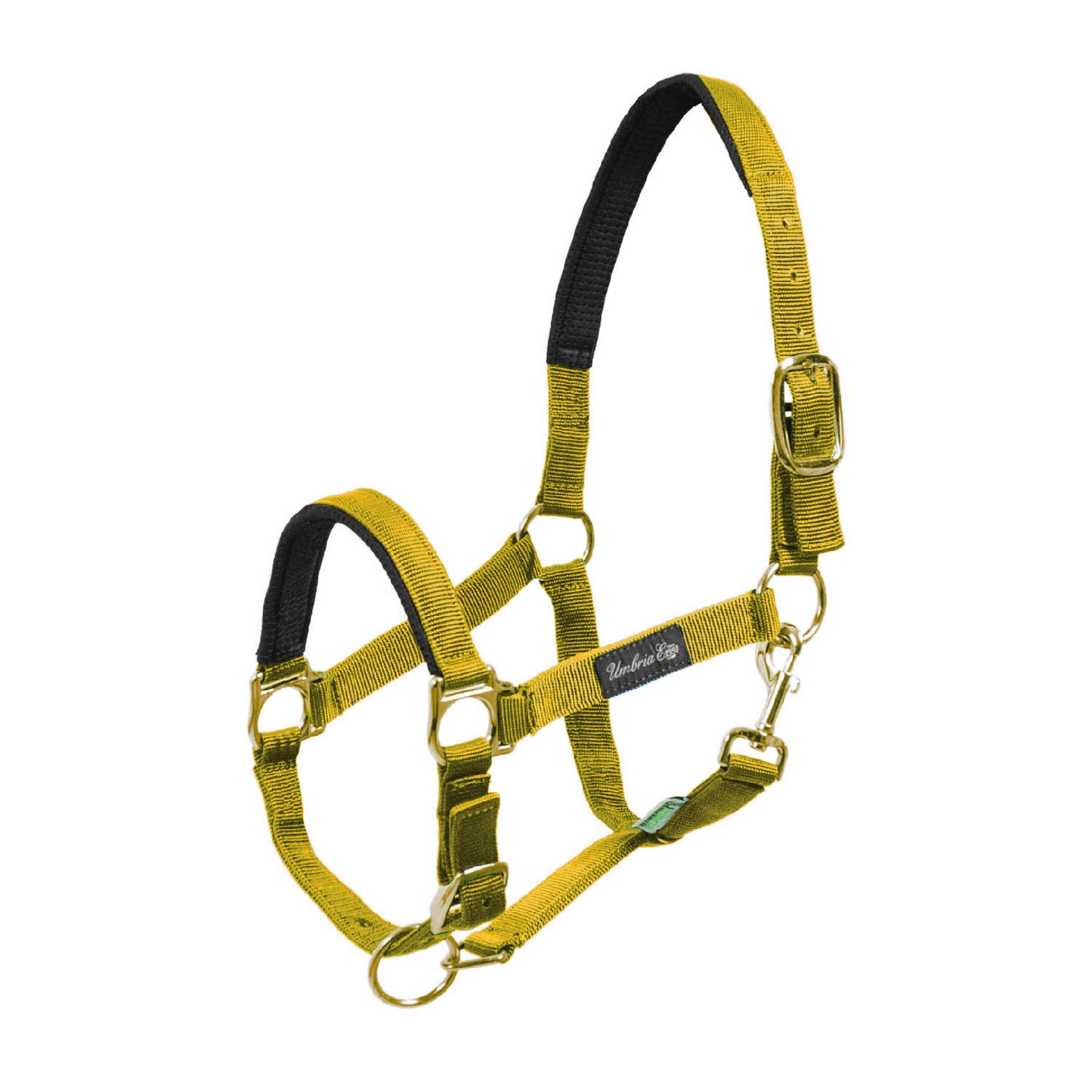 Cabezada de nylon con refuerzo de neopreno Umbria Equitazione
