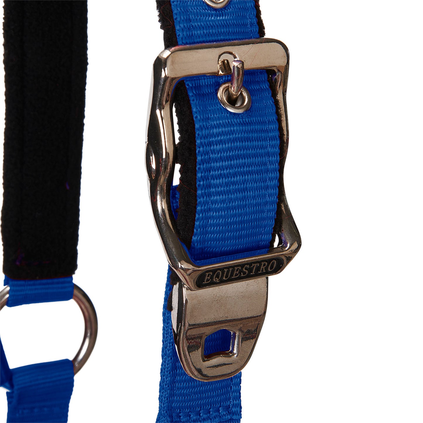 Cabezada doblemente regulable acolchada Equestro - Azul royal