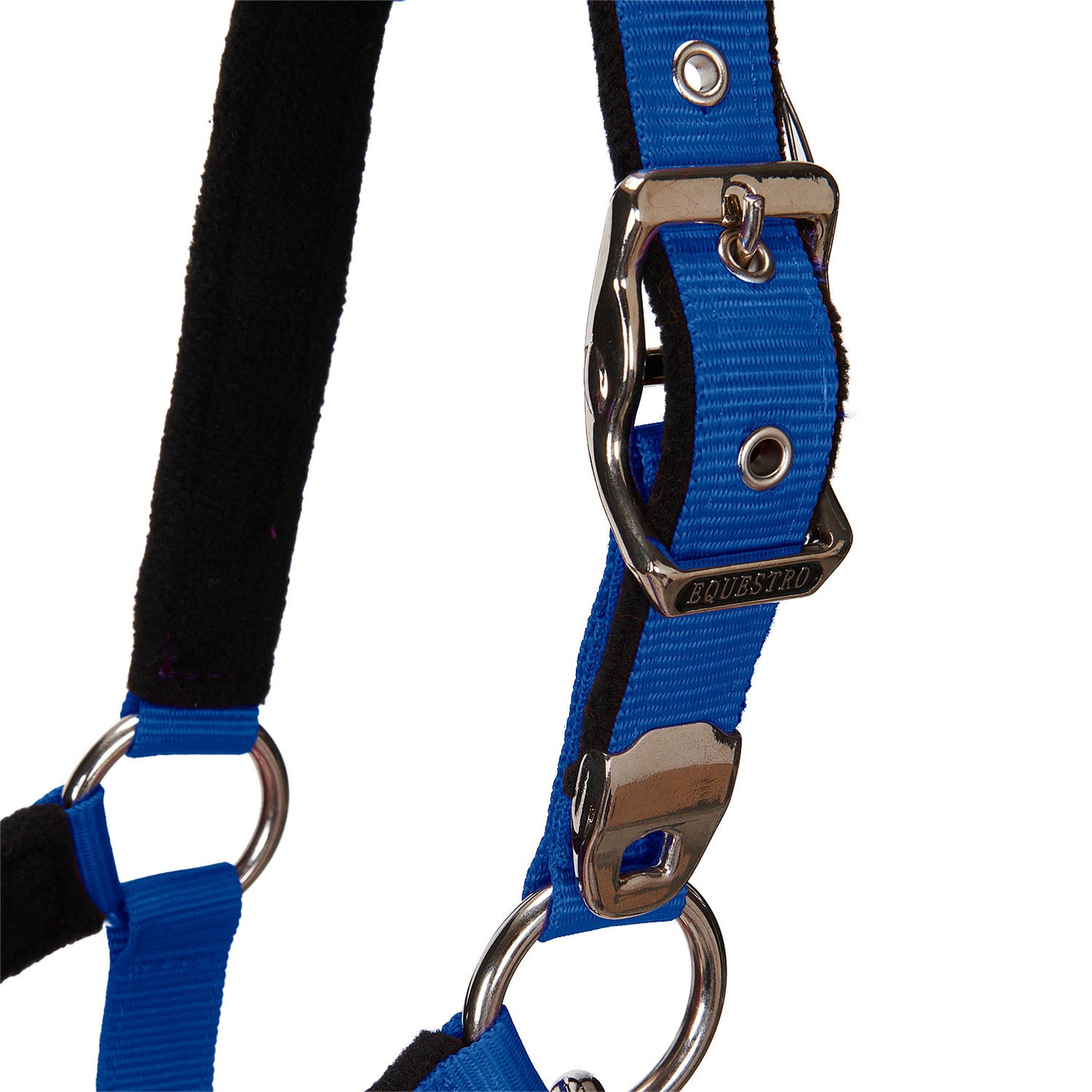 Cabezada doblemente regulable acolchada Equestro - Azul royal