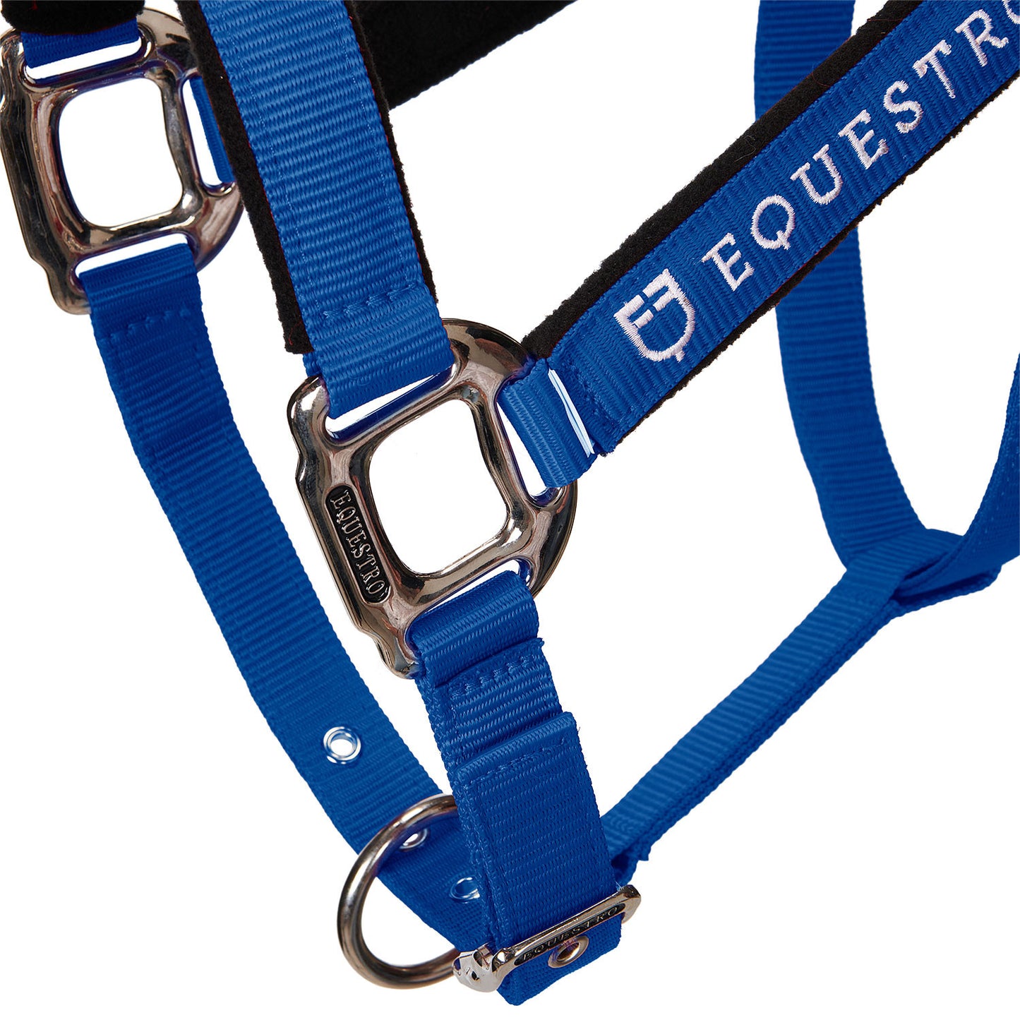 Cabezada doblemente regulable acolchada Equestro - Azul royal