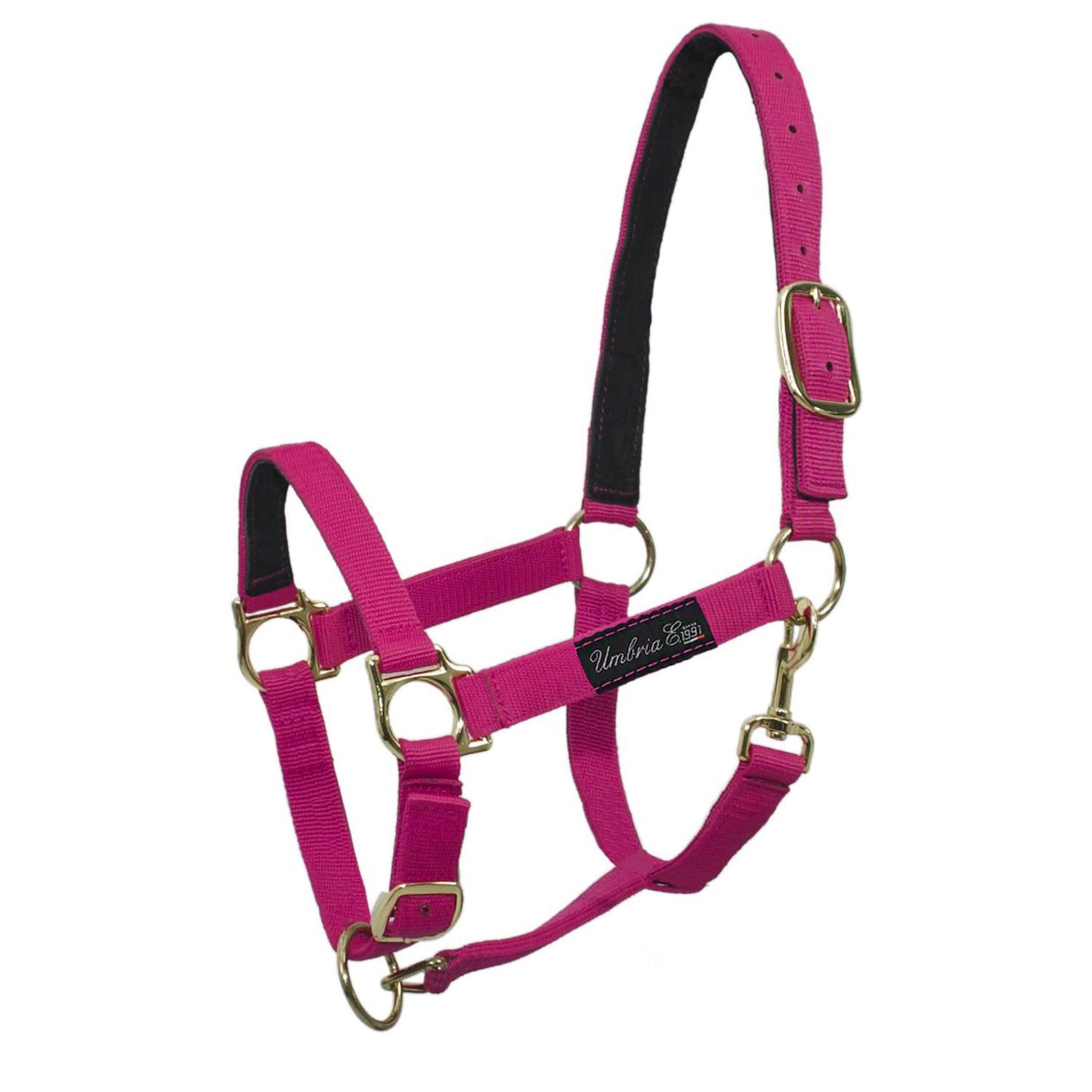 Cabezada de nailon con refuerzo de cuero Umbria Equitazione - Fucsia