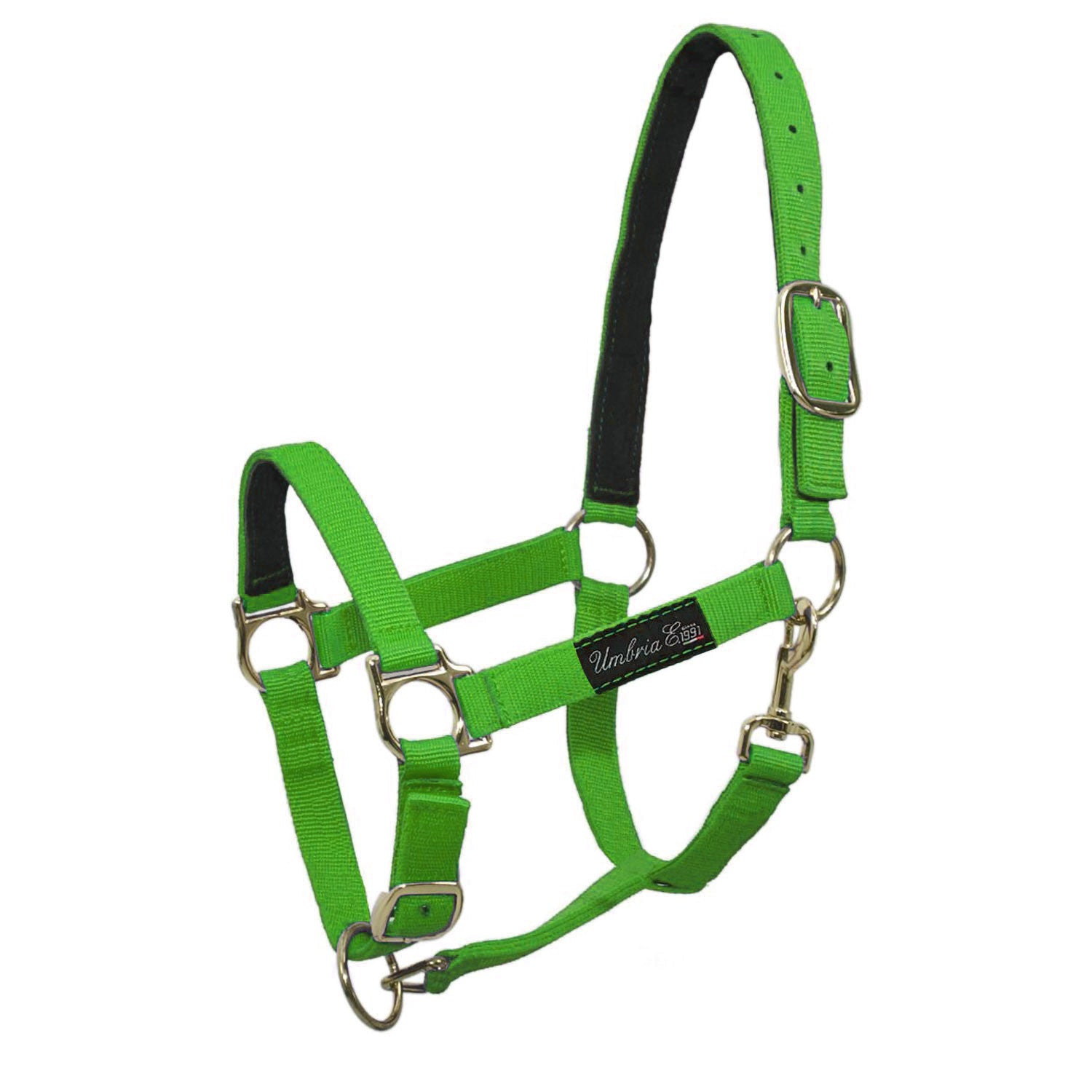 Cabezada de nailon con refuerzo de cuero Umbria Equitazione - Lime
