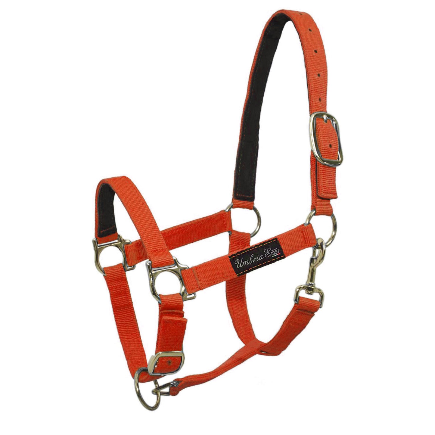 Cabezada de nailon con refuerzo de cuero Umbria Equitazione - Naranja