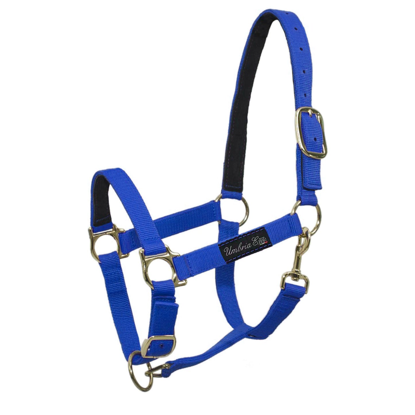 Cabezada de nailon con refuerzo de cuero Umbria Equitazione - Azul royal