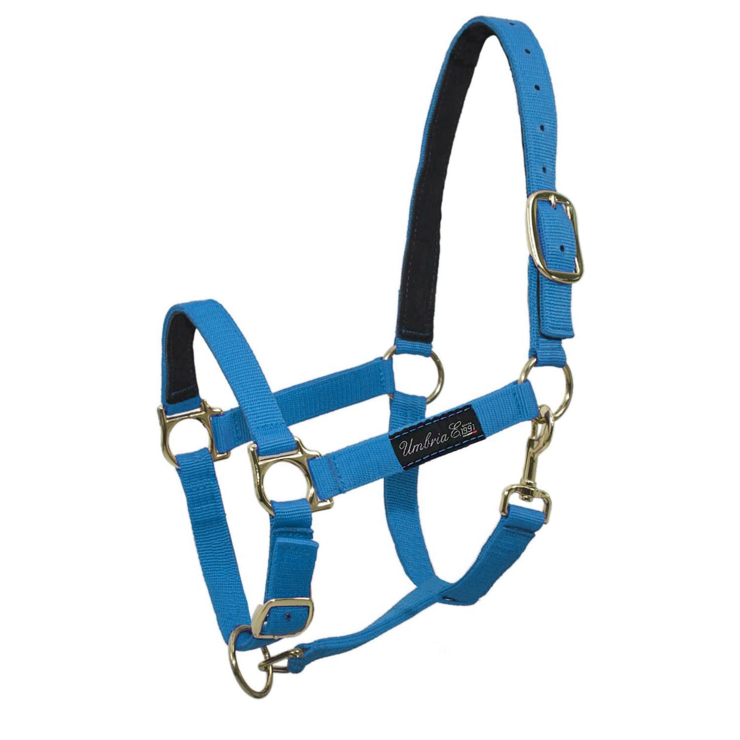 Cabezada de nailon con refuerzo de cuero Umbria Equitazione - Turquesa