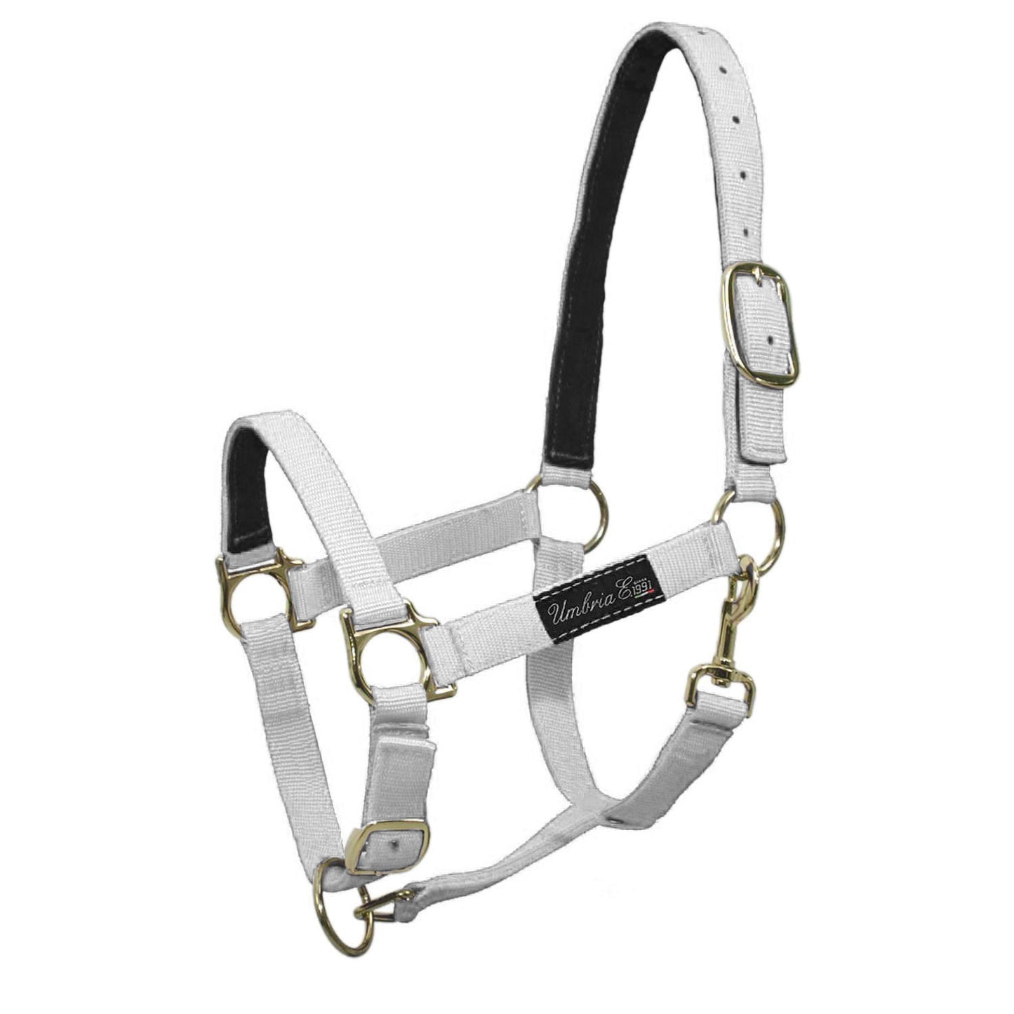 Cabezada de nailon con refuerzo de cuero Umbria Equitazione - Blanco