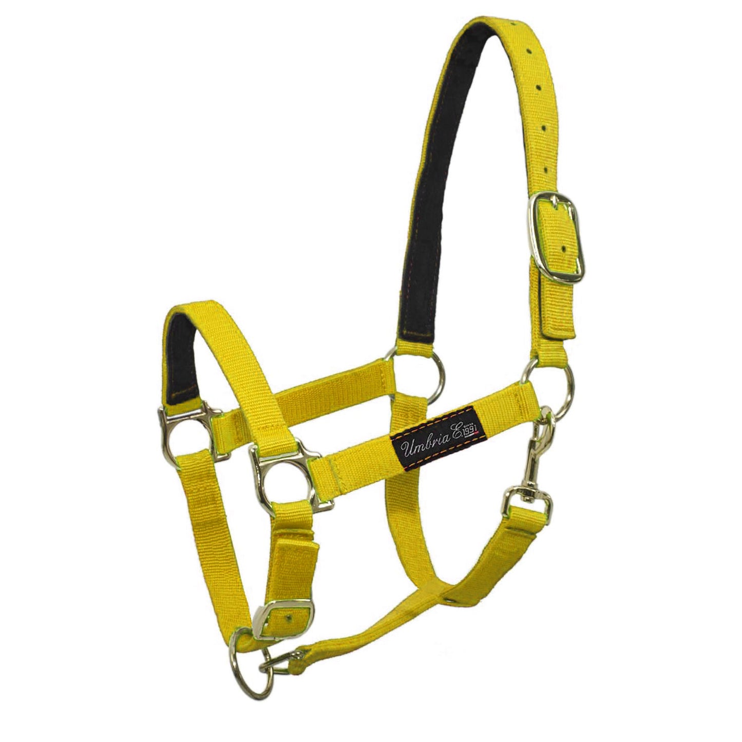 Cabezada de nailon con refuerzo de cuero Umbria Equitazione - Amarillo