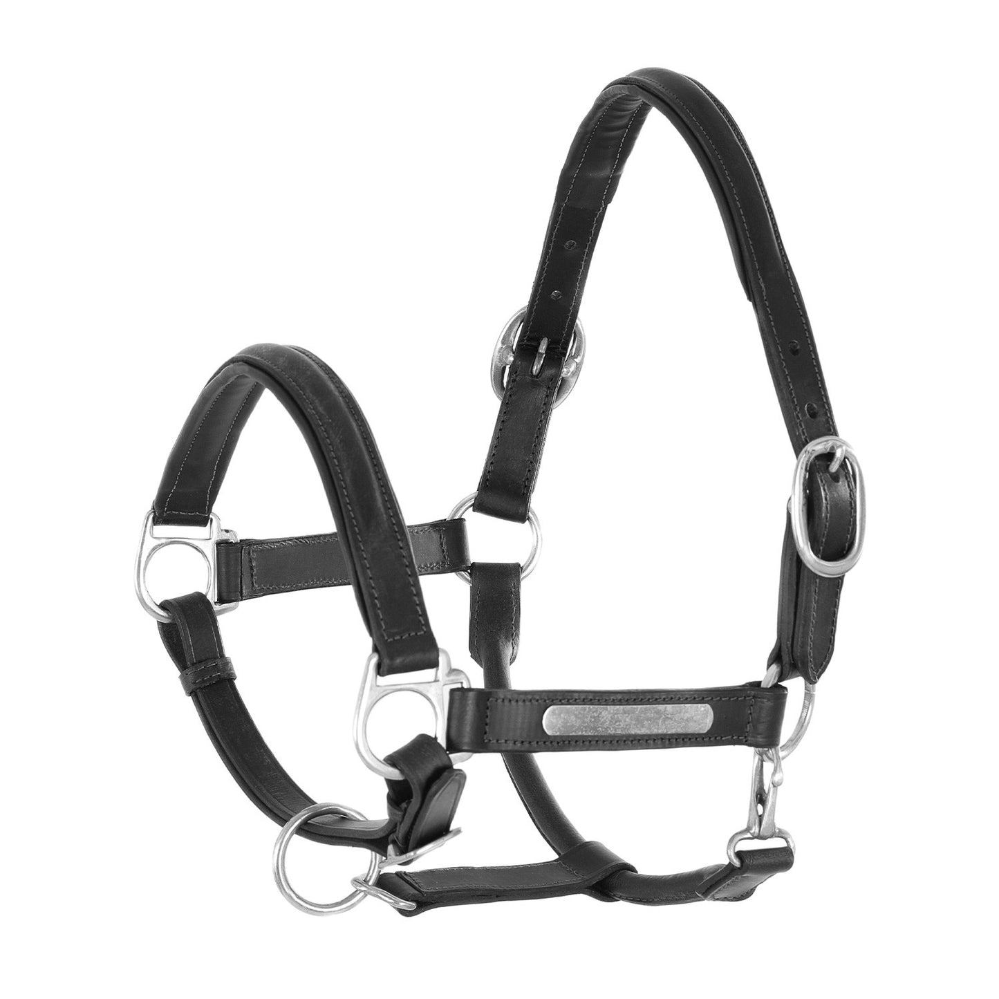 Cabezada de cuero doblado con hebillas de latón Umbria Equitazione - Negro
