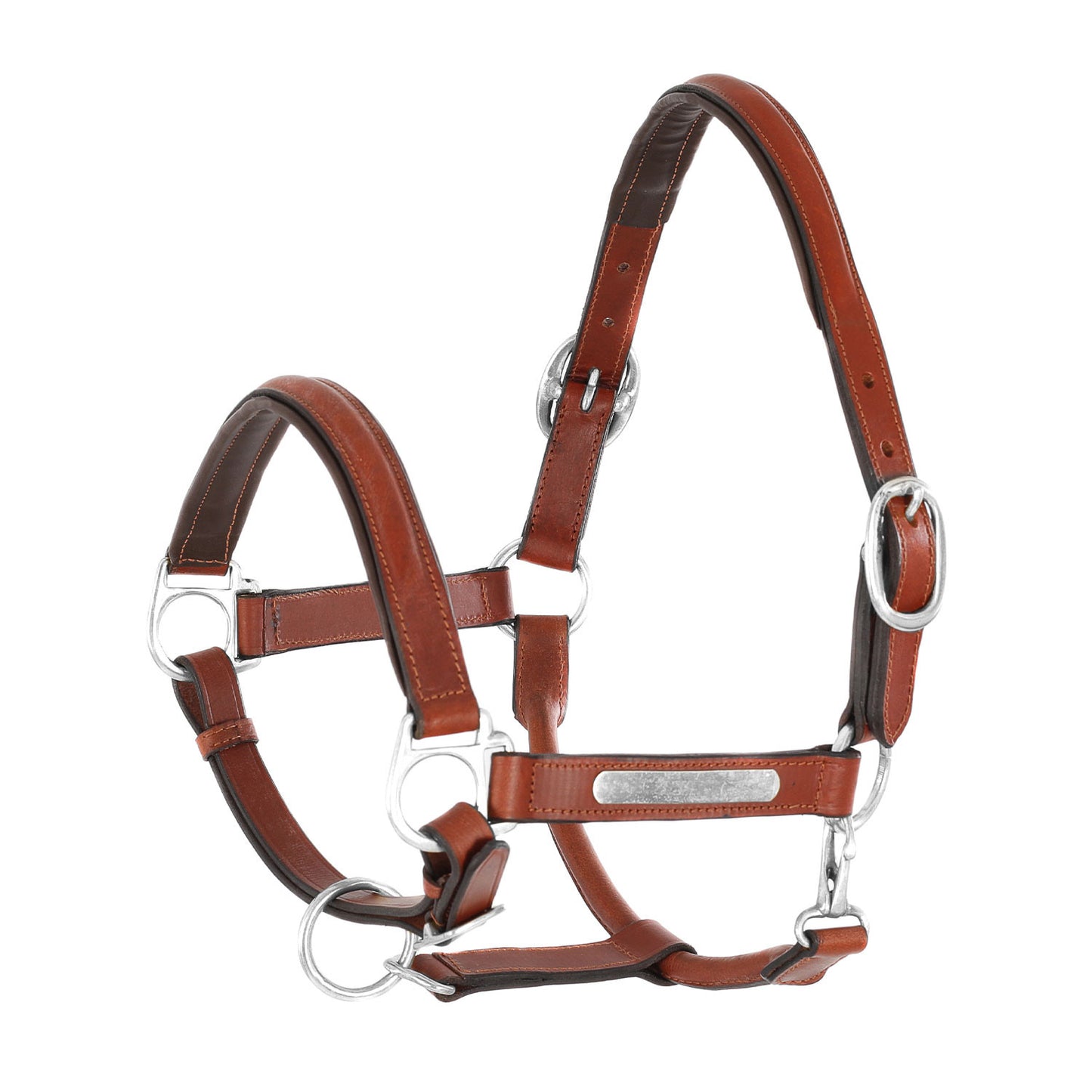Cabezada de cuero doblado con hebillas de latón Umbria Equitazione