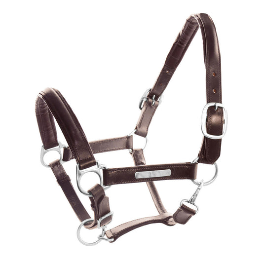 Cabezada de cuero doblado con hebillas de latón Umbria Equitazione - Marrón oscuro