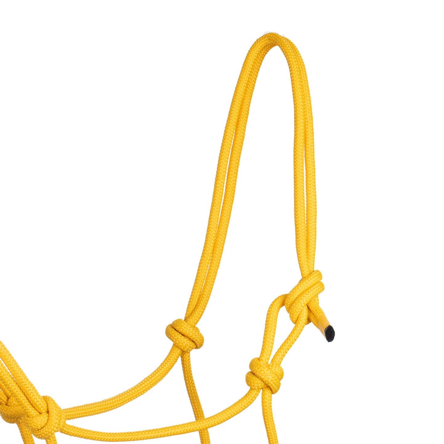 Cabezada de cuerda anudada con ramal Pool's - Amarillo