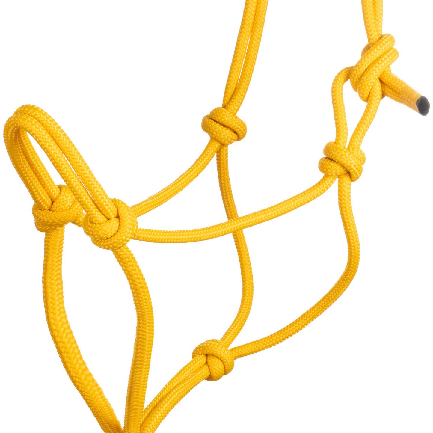 Cabezada de cuerda anudada con ramal Pool's - Amarillo