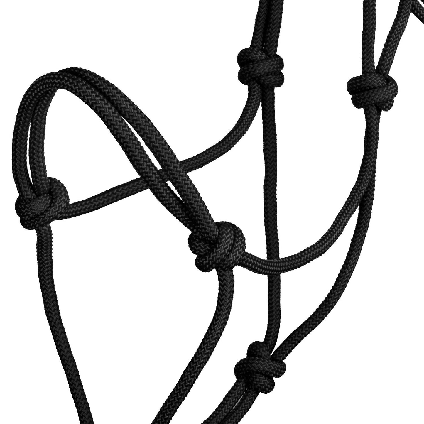 Cabezada cuerda anudada Pool's - Negro